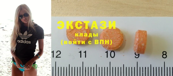 СК Алексин