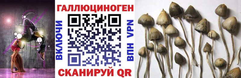 Псилоцибиновые грибы ЛСД  Жигулёвск 